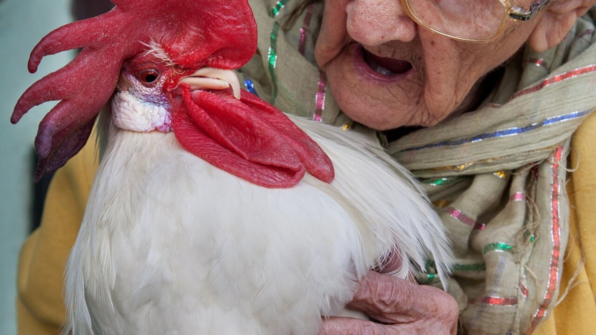 This 80-Year-Old Woman Runs Over 50 Marathons a Year and Shows No Signs of Stopping