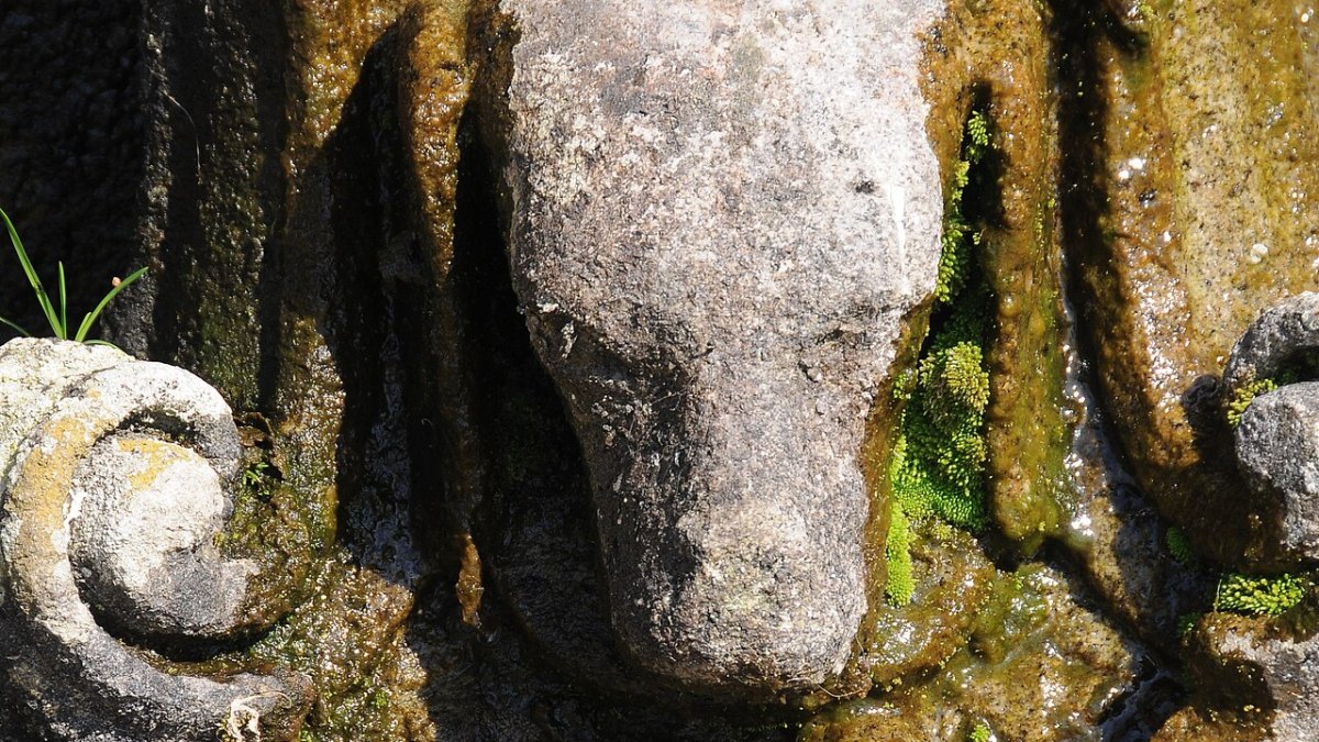 Dogs Can Smell Cancer, Low Blood Sugar, and PTSD Episodes Before Humans Even Know