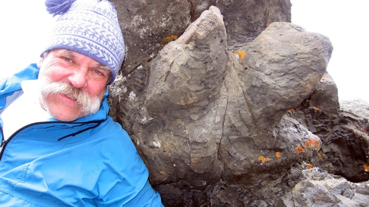 Scientists Discovered Bacteria That Eat Electrons Directly From Metal