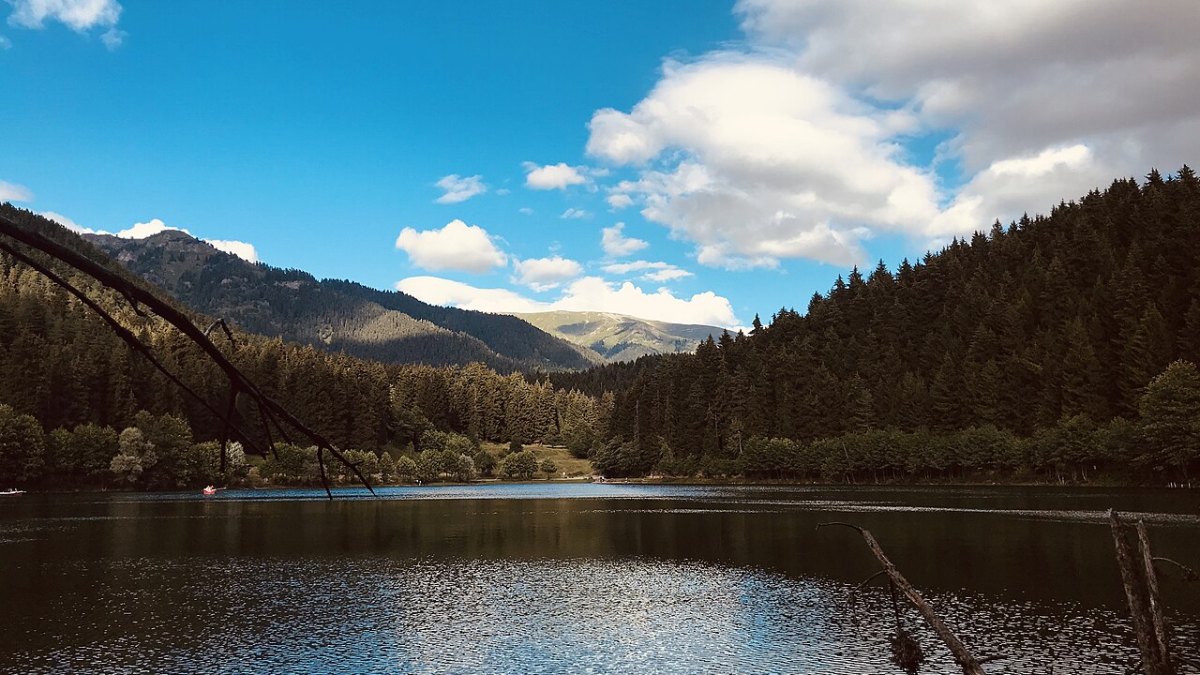 The Sahara Was a Lush Green Savanna With Hippos Just 6,000 Years Ago