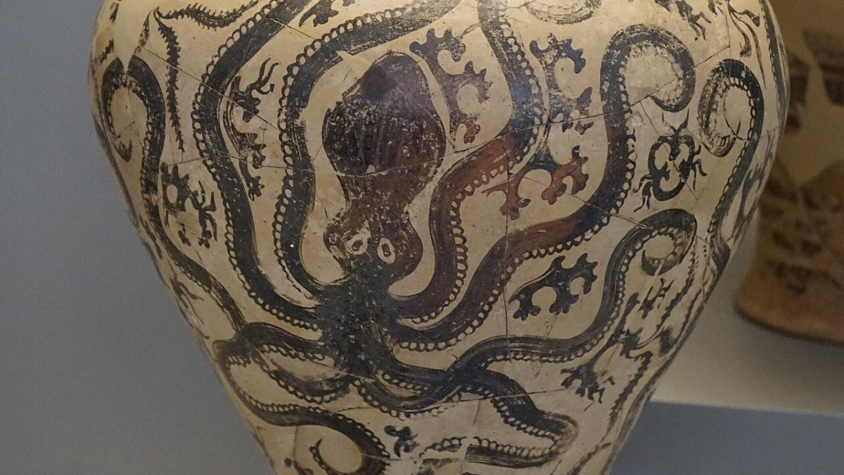 Octopuses Have Three Hearts, Blue Blood, and Can Taste Everything They Touch